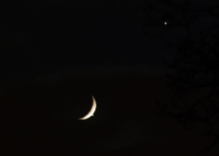20081201 Moon-Venus occultation